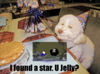 b5f.gif
