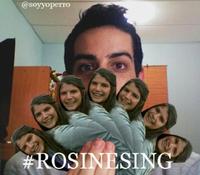 #Rosinesing