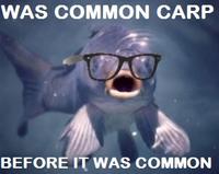 Hipster Glasses