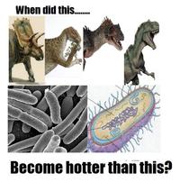 When Did This Become Hotter Than This