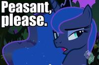 Pony Reactions
