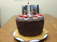 The Cake Is a Lie