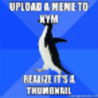 Socially Awkward Penguin