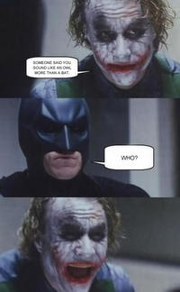 Dark Knight 4 Pane