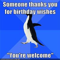 Socially Awkward Penguin
