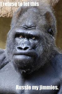 That Really Rustled My Jimmies