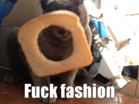 Breading Cats