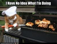 I Have No Idea What I'm Doing