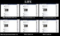 Like A Boss