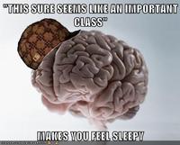 Scumbag Brain