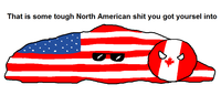 Polandball