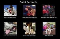 What People Think I Do / What I Really Do