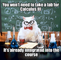 Chemistry Cat