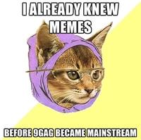 Hipster Kitty