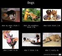 What People Think I Do / What I Really Do