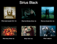 What People Think I Do / What I Really Do