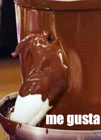 Chocolate Bird