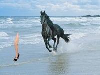 Angelina Jolie's Leg