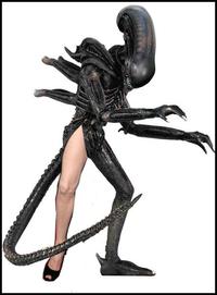 Angelina Jolie's Leg