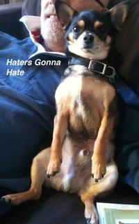 Haters Gonna Hate