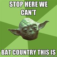 We Can't Stop Here, This is Bat Country