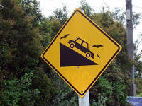 We Can't Stop Here, This is Bat Country