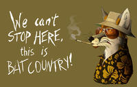 We Can't Stop Here, This is Bat Country