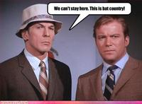 We Can't Stop Here, This is Bat Country