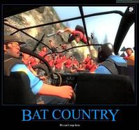 We Can't Stop Here, This is Bat Country