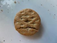 Things With Faces