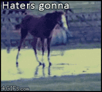 Haters Gonna Hate