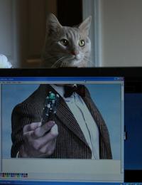 Forced Perspective