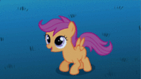 Pony Reactions