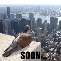SOON