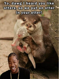Cute Animals