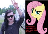 Totally Looks Like / Separated At Birth