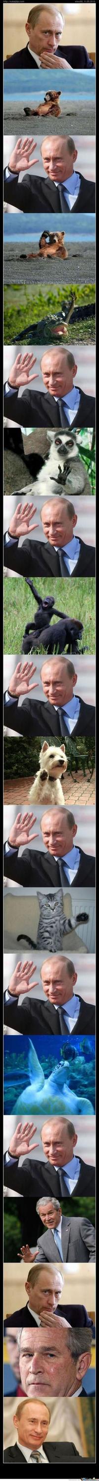 Vladimir Putin