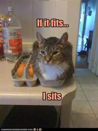 If It Fits I Sits