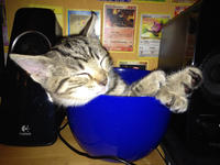If It Fits I Sits