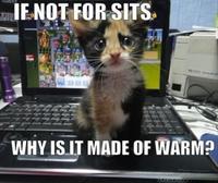 LOLcats