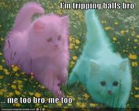 Tripping Balls