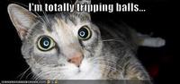 Tripping Balls