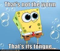 Sudden Clarity Clarence