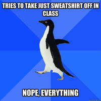 Socially Awkward Penguin