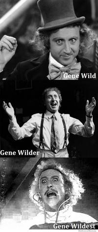 Name Puns