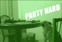 Party Hard