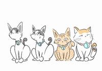 Shironeko / Basket Cat