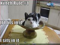 If It Fits I Sits