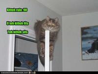 If It Fits I Sits