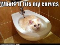 If It Fits I Sits